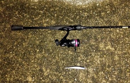 小さいけどシーバス